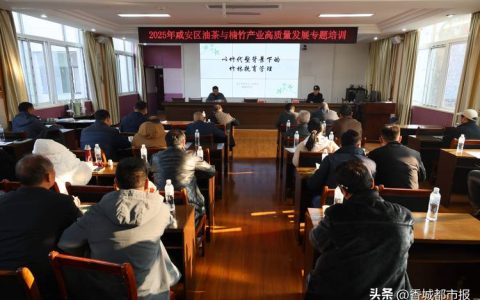 咸安举办油茶与楠竹产业高质量发展培训会