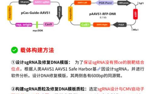 药学院孙宇辉团队在基因编辑技术领域取得新进展