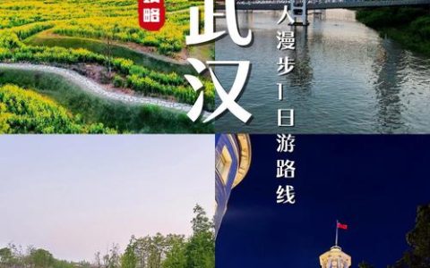 已进入黄金期！和每一个武汉人有关