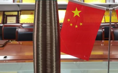 石头也能造纸？武汉团队重大突破！