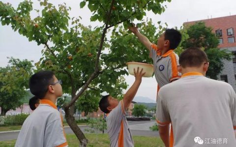 江汉油田外国语学校组织采摘节实践活动