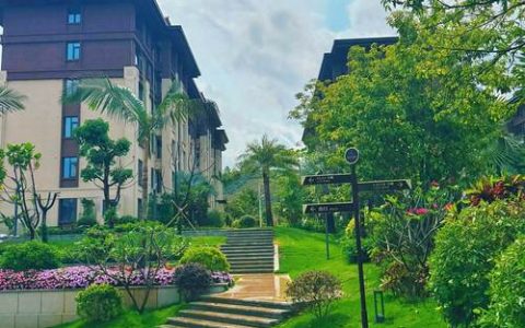 武穴市这个村靠“套种魔法”，7万株“黄金树”年赚70万