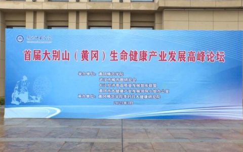 黄冈大别山大健康产业联合会换届大会召开