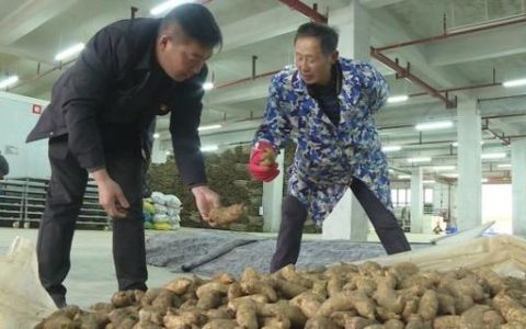 这些宜昌“土特产”，凭啥值千亿？