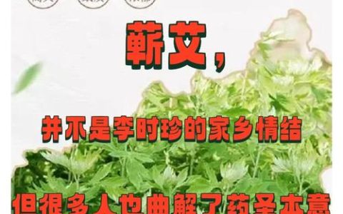 在艾香里，听一线“蕲艾人”讲故事