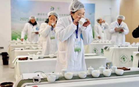 英山举办云雾茶职业技能大赛