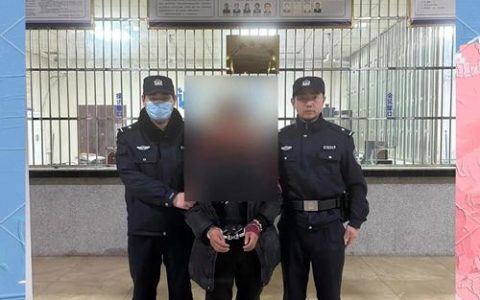 麻城警方3小时破获系列扒窃案