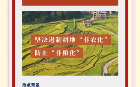 咸安推进淦河下游国土整治夯实耕地保护　赋能乡村振兴