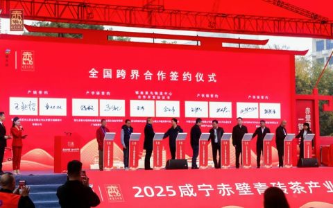 深耕本土文化 讲好赤壁故事 赤壁微短剧《红色金紫山》获省级十佳