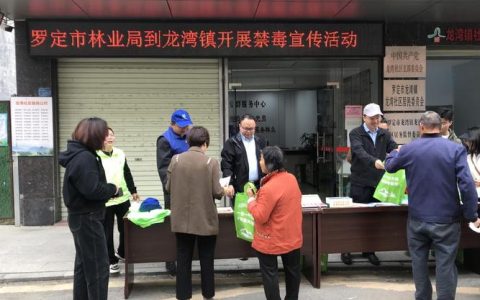 龙湾镇：普及防毒知识 凝聚禁毒合力