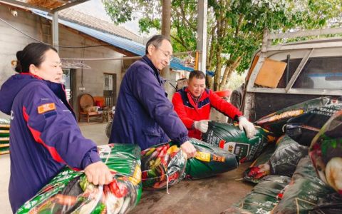 螺丝椒市场俏 驻村队员来帮忙