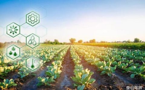 黄石农技推广“多点开花”——  科技赋能绘就现代农业新图景