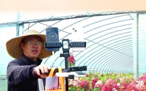 从“提篮叫卖”到“云端吆喝” 宜都“电商快车道”让山货跑得飞快！