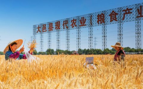 黄冈农业总产值破千亿元