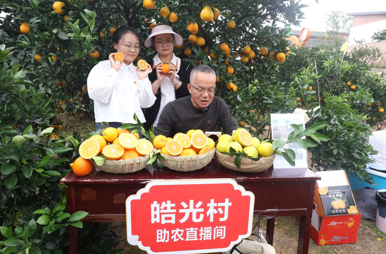 从“提篮叫卖”到“云端吆喝” 宜都“电商快车道”让山货跑得飞快！