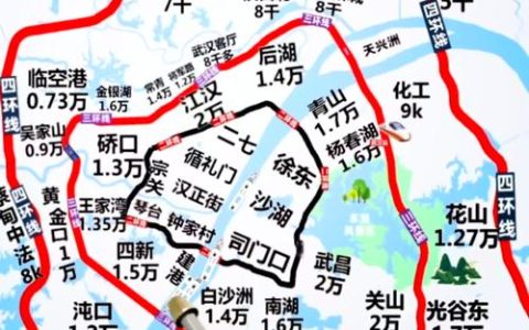 “武汉一号”成为城市治理“天眼” 武汉地图实现每月更新