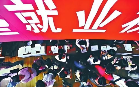 从求职转向创岗 “一人公司”在武汉蓬勃兴起