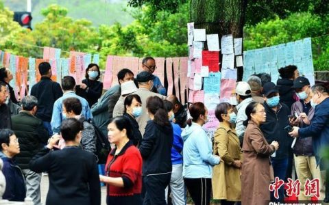 现场短新闻 | “相亲角”觅良缘