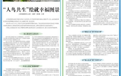 长江大保护十周年·百村蹲点调研行 | 大江叠长卷 绿水润乡愁