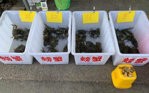 潜江优质螃蟹走俏外地市场