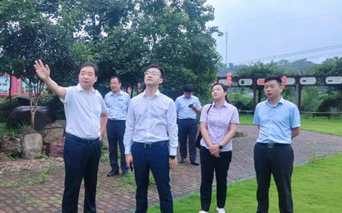 竹根滩镇：让集体资金用在“刀刃上”