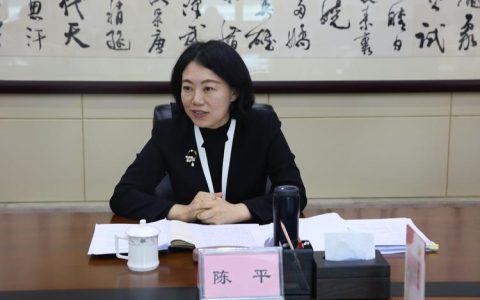 陈平在天门调研时强调 推动商文旅融合 更大力度扩内需促消费