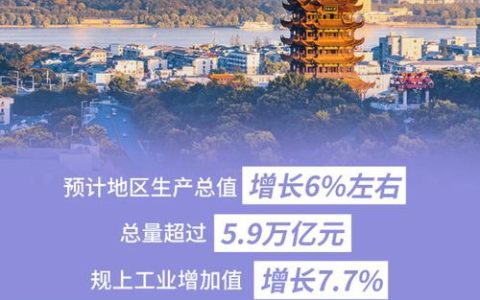从一个“韧”字看湖北2025年经济发展