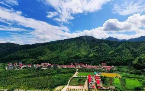 蕲春县狮子镇长林村系列举措建设和美乡村