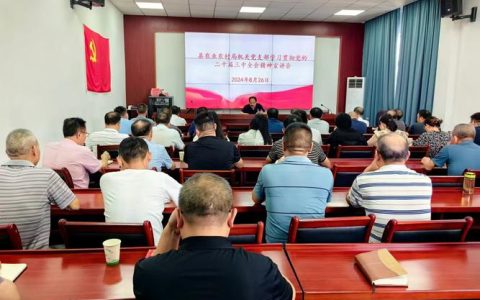 麻城市第六小学召开党的二十届四中全会精神宣讲会