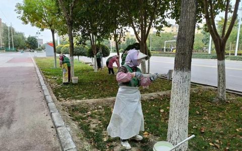 刷白“穿冬衣”  嘉鱼开展树木抗寒防虫作业