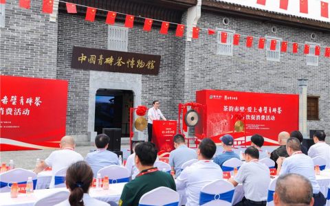 全国百余名车友集结赤壁 解锁“历史+茶香”新体验