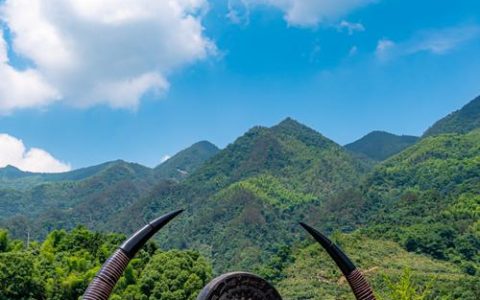 通城县烟草专卖局金叶赋能古瑶乡 同心共筑振兴路