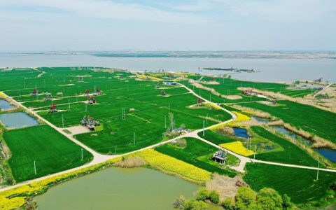 新材料与绿色化工学院获批成为中国化工教育协会会员单位