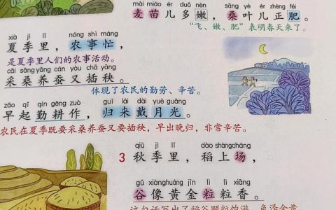 冬闲田“唱”出四季增收歌