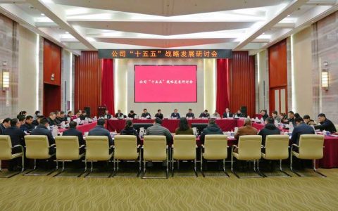 崇阳县“十五五”城建领域项目谋划专题会议召开