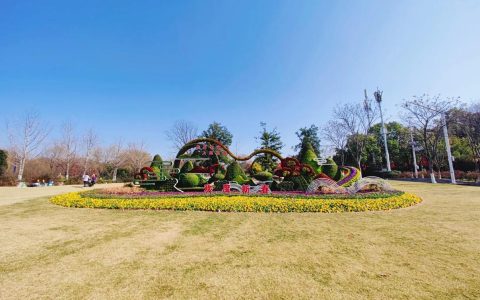 东湖绿道大树披“彩衣”迎新年