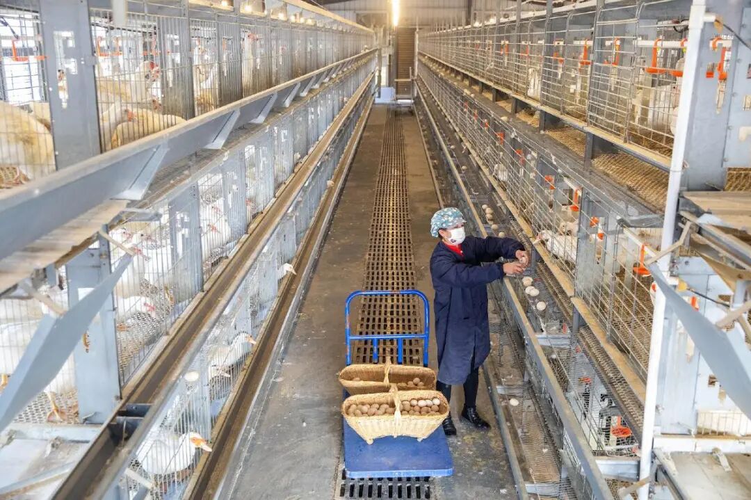 1亿、11亿、60亿！这就是阳新速度