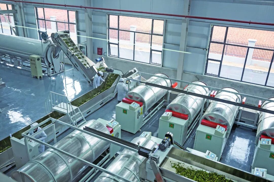 1亿、11亿、60亿！这就是阳新速度