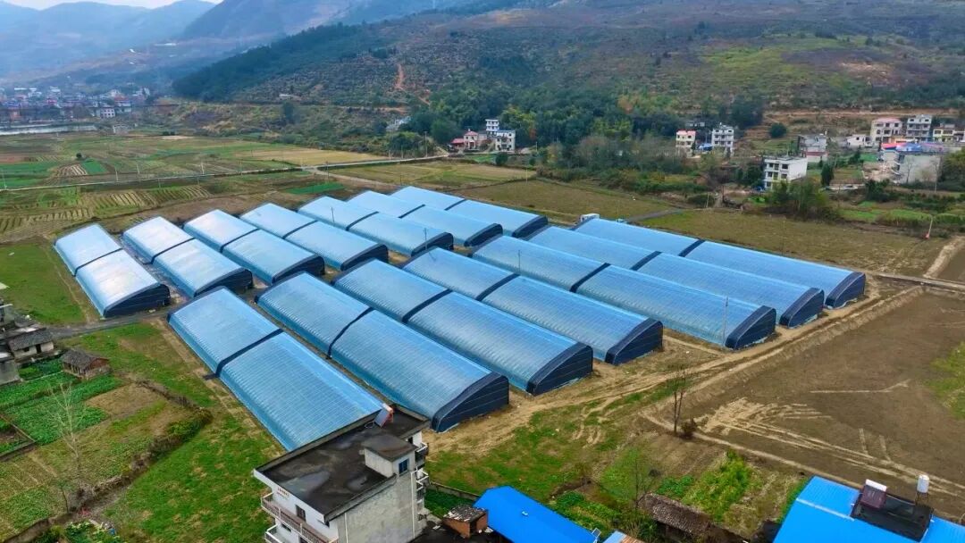 1亿、11亿、60亿！这就是阳新速度