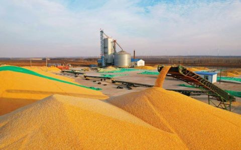 建始县新建4.23万吨级储备粮库