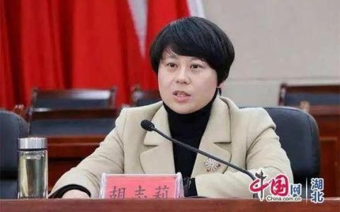 胡志莉出席全市岁末年初安全防范工作视频调度会