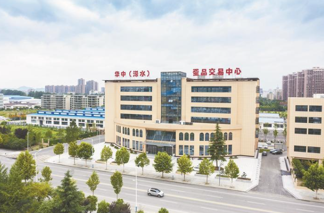 一枚小鸡蛋 百亿大产业