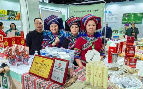 黄冈园艾香引客来非遗体验受热捧