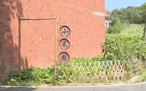 韩垸村荒地变身“聚宝盆” 特色种植赋能乡村振兴