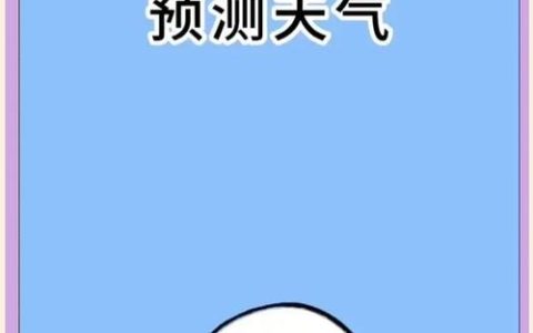 天气预测谁更强？多角度评测推荐，避免踩坑