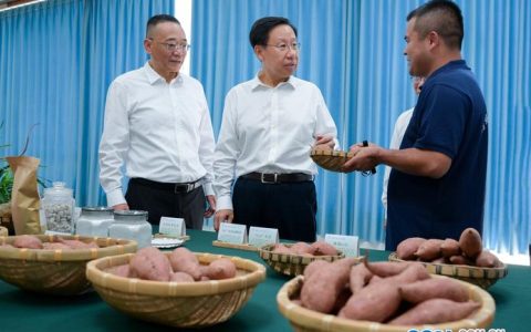 蕲春成隆食品联农带农显成效