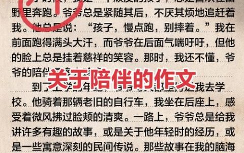 以热爱为犁  以陪伴为光——记咸宁市第五小学教师焦文佩