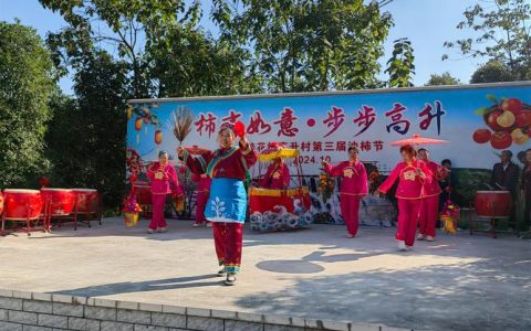 沉浸式解锁乡村快乐 咸安高桥迎新助农活动启幕