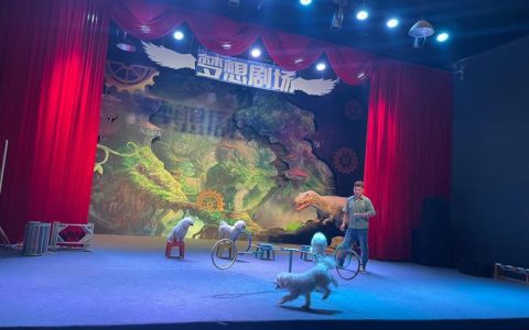 萝卜小镇・奕喆本草香猪勇士挑战赛元旦启幕，趣味抓猪赢香猪好礼