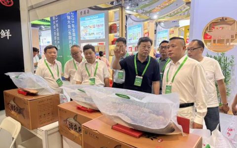 “荆楚韵·武昌鱼”主题文化节开幕 卢辉出席并致辞